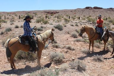 Scenic Mountain Horseback Riding Tour: Saddle Up with Meal Options image 18