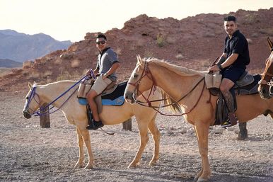 Scenic Mountain Horseback Riding Tour: Saddle Up with Meal Options image 12