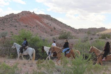 Scenic Mountain Horseback Riding Tour: Saddle Up with Meal Options image 14