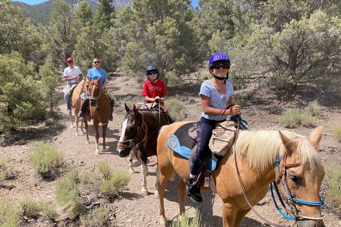 Scenic Mountain Horseback Riding Tour: Saddle Up with Meal Options image 2