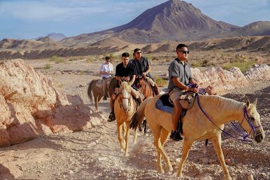 Scenic Mountain Horseback Riding Tour: Saddle Up with Meal Options image 19