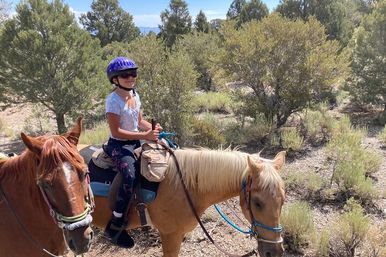 Scenic Mountain Horseback Riding Tour: Saddle Up with Meal Options image 4