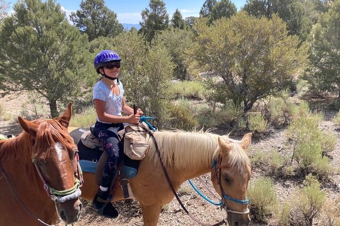 Scenic Mountain Horseback Riding Tour: Saddle Up with Meal Options image 4