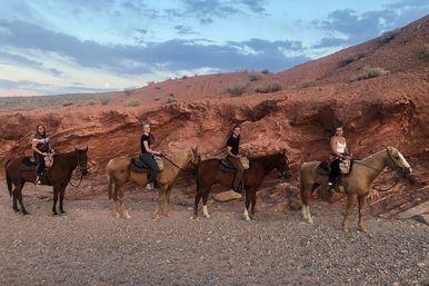 Scenic Mountain Horseback Riding Tour: Saddle Up with Meal Options image 27