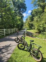 Greenery, Scenery & Mindfulness: Guided E-Bike Tour image 2