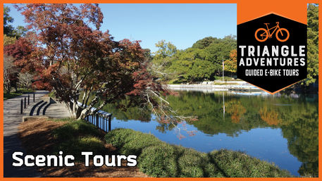 Greenery, Scenery & Mindfulness: Guided E-Bike Tour image 16