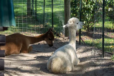 Saddlehill Winery 3-Bedroom Farmhouse Stay image 3