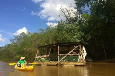 Honey Island Swamp Kayak Tour image 6