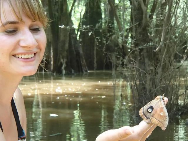 Honey Island Swamp Kayak Tour image 3