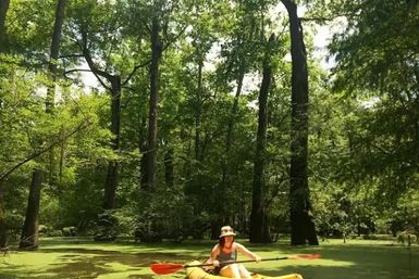 Honey Island Swamp Kayak Tour image 7