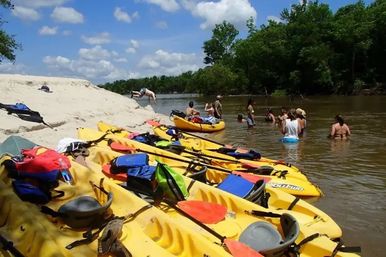 Honey Island Swamp Kayak Tour image 4
