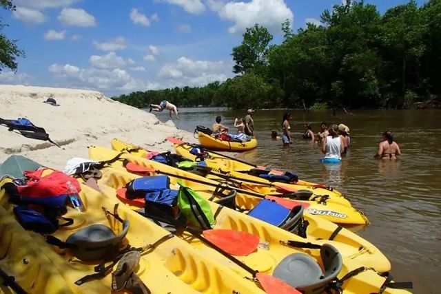 Honey Island Swamp Kayak Tour image 4