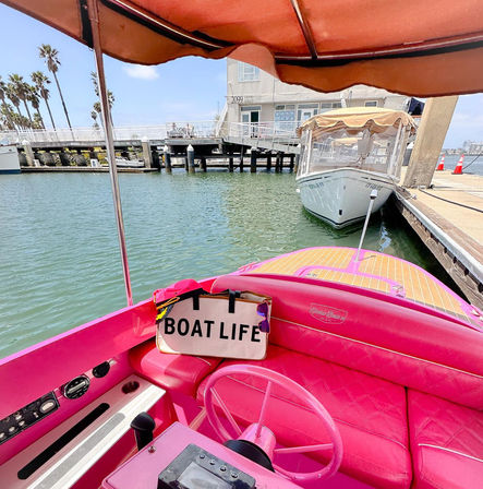 Alameda Pink Fantail Electric Boat Rental (Up to 8 Passengers) image 4