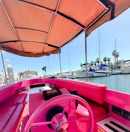 Alameda Pink Fantail Electric Boat Rental (Up to 8 Passengers) image 8