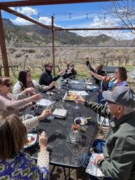 Wine Country Day Trip with Luxury Transportation Included image 15