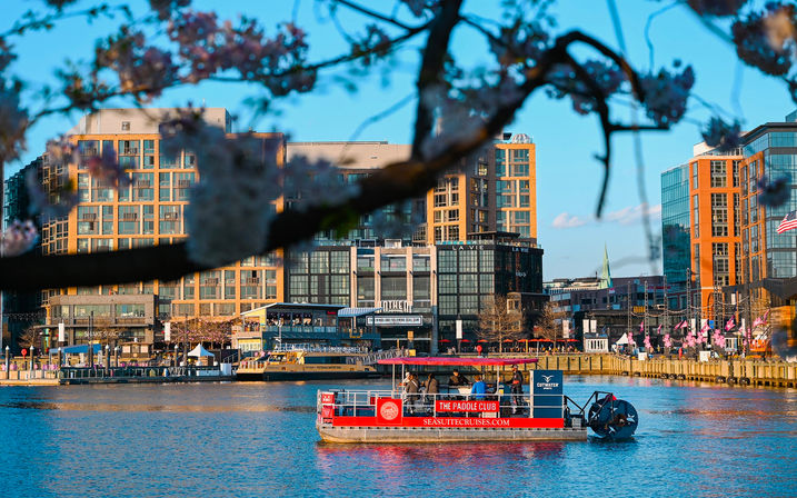 Private BYOB Paddle Boat Cruise at The Wharf: Enjoy Stunning Views & Explore DC's Exciting Waterfront Neighborhood image 3