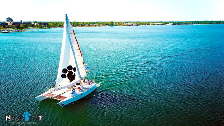 Lively Windjammer Cruise with Cash Bar image 9