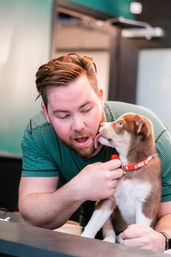 Yoga with Rescue Puppy Doggos at Movement Lounge: Licensed Yoga Class with Mats, Photo Sessions, and Showers image 6