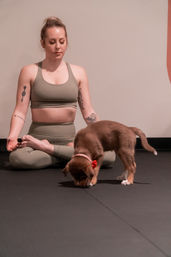 Yoga with Rescue Puppy Doggos at Movement Lounge: Licensed Yoga Class with Mats, Photo Sessions, and Showers image 3