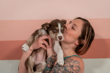 Yoga with Rescue Puppy Doggos at Movement Lounge: Licensed Yoga Class with Mats, Photo Sessions, and Showers image 5