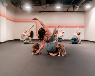 Yoga with Rescue Puppy Doggos at Movement Lounge: Licensed Yoga Class with Mats, Photo Sessions, and Showers image 1