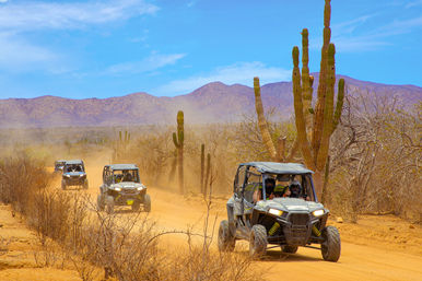 Canyon Combo Adventure: Ziplines, UTV & Mexican Lunch image 9