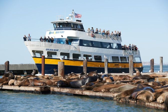 Alcatraz Adventure & Bay Cruise: Walk Through History and Cruise By Scenic Beauty in San Francisco image 8