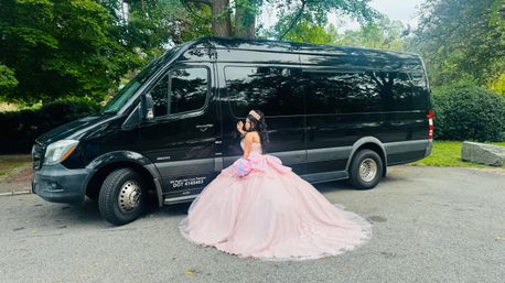 Party On Wheels: Get from Point A to B in Comfort & Style image 8