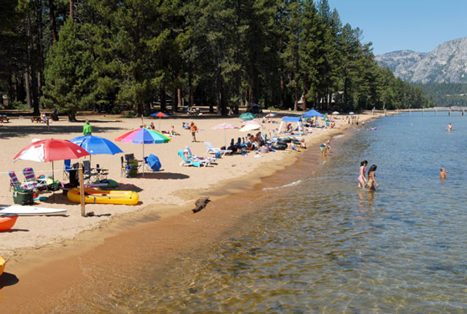 Elevated Beach Experience: Beach Chair and Umbrella Rental image 1