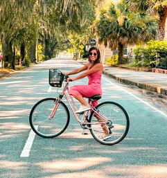 Insta-worthy Private Bicycle Tour of Savannah Under Enchanting Oak Trees image 1