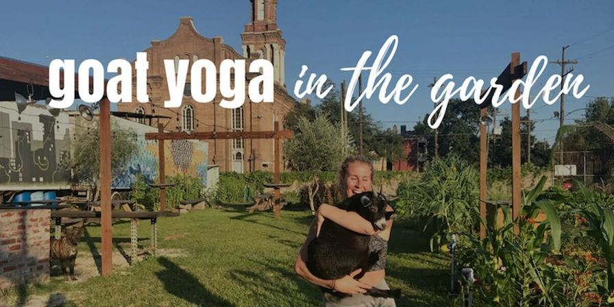 Goat Yoga in New Orleans - Paradigm Gardens Experience image 5
