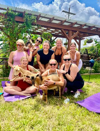 Goat Yoga in New Orleans - Paradigm Gardens Experience image 6