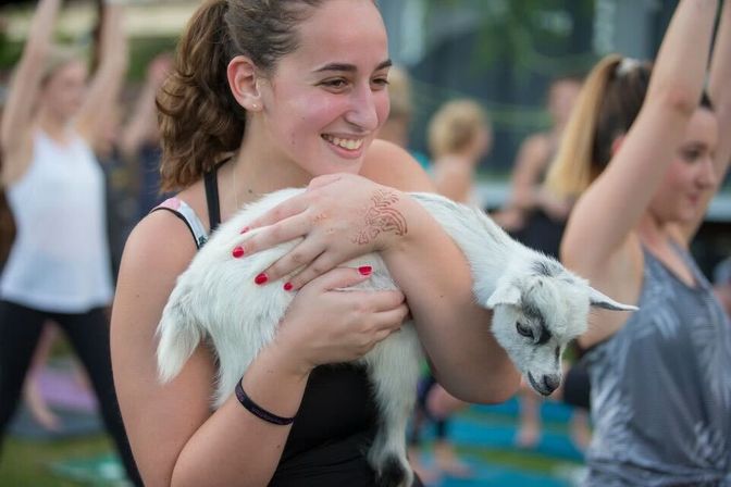 Goat Yoga in New Orleans - Paradigm Gardens Experience image 8