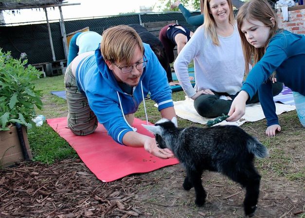 Goat Yoga in New Orleans - Paradigm Gardens Experience image 6