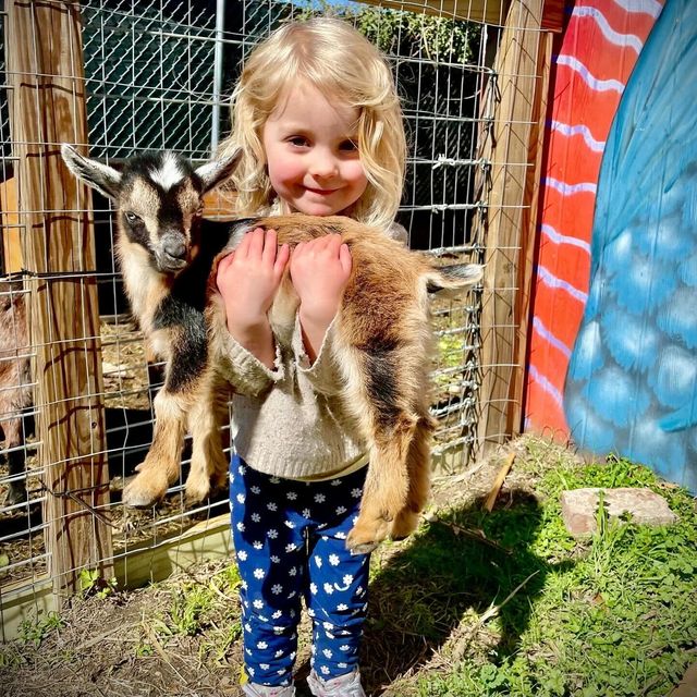 Goat Yoga in New Orleans - Paradigm Gardens Experience image 3