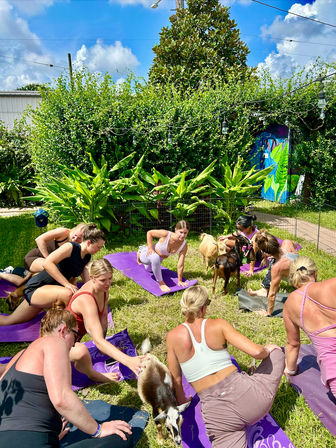Goat Yoga in New Orleans - Paradigm Gardens Experience image 14