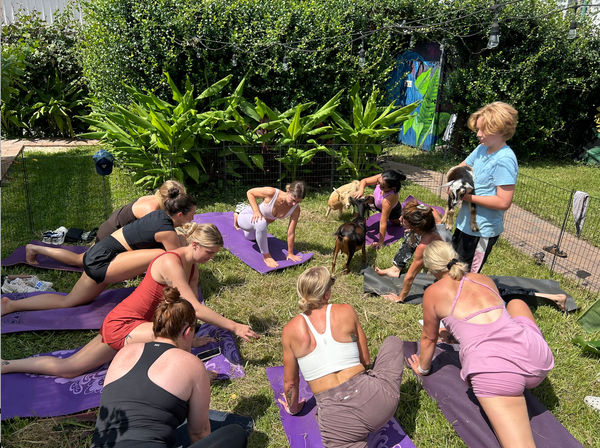 Goat Yoga in New Orleans - Paradigm Gardens Experience image 6