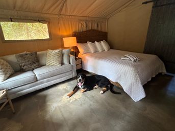 San Juan's Only Glamping Site in the New Millennium Forest image 10
