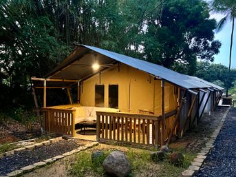 San Juan's Only Glamping Site in the New Millennium Forest image 27