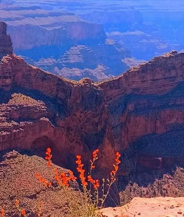 The Ultimate Grand Canyon West Private Tour image 6
