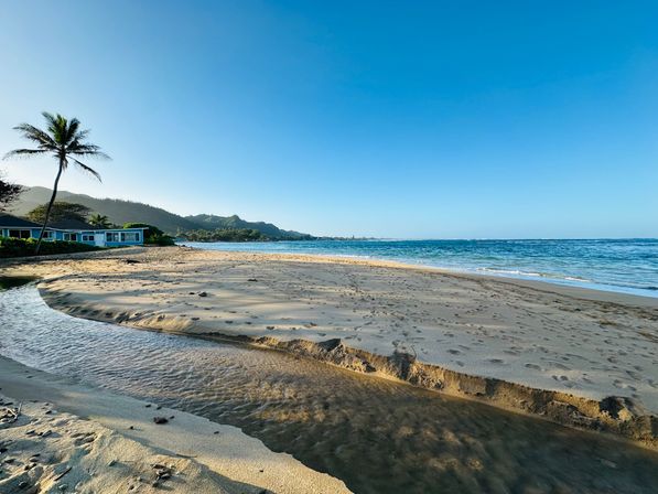 Peaceful Island Getaway: 3-BR Oceanfront Oasis image 29