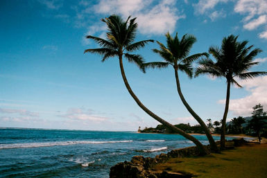 Peaceful Island Getaway: 3-BR Oceanfront Oasis image 30