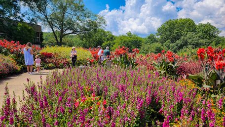 Nashville Historic Mansions and Winery Tour image 17
