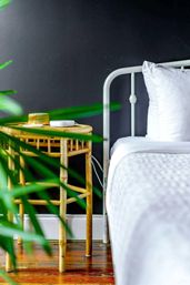 Urban Jungle: Rare Plant-Filled Designer Retreat in Columbus image 24