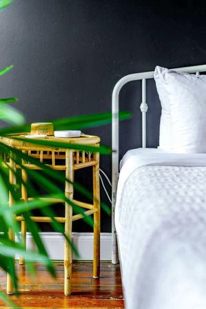 Urban Jungle: Rare Plant-Filled Designer Retreat in Columbus image 24