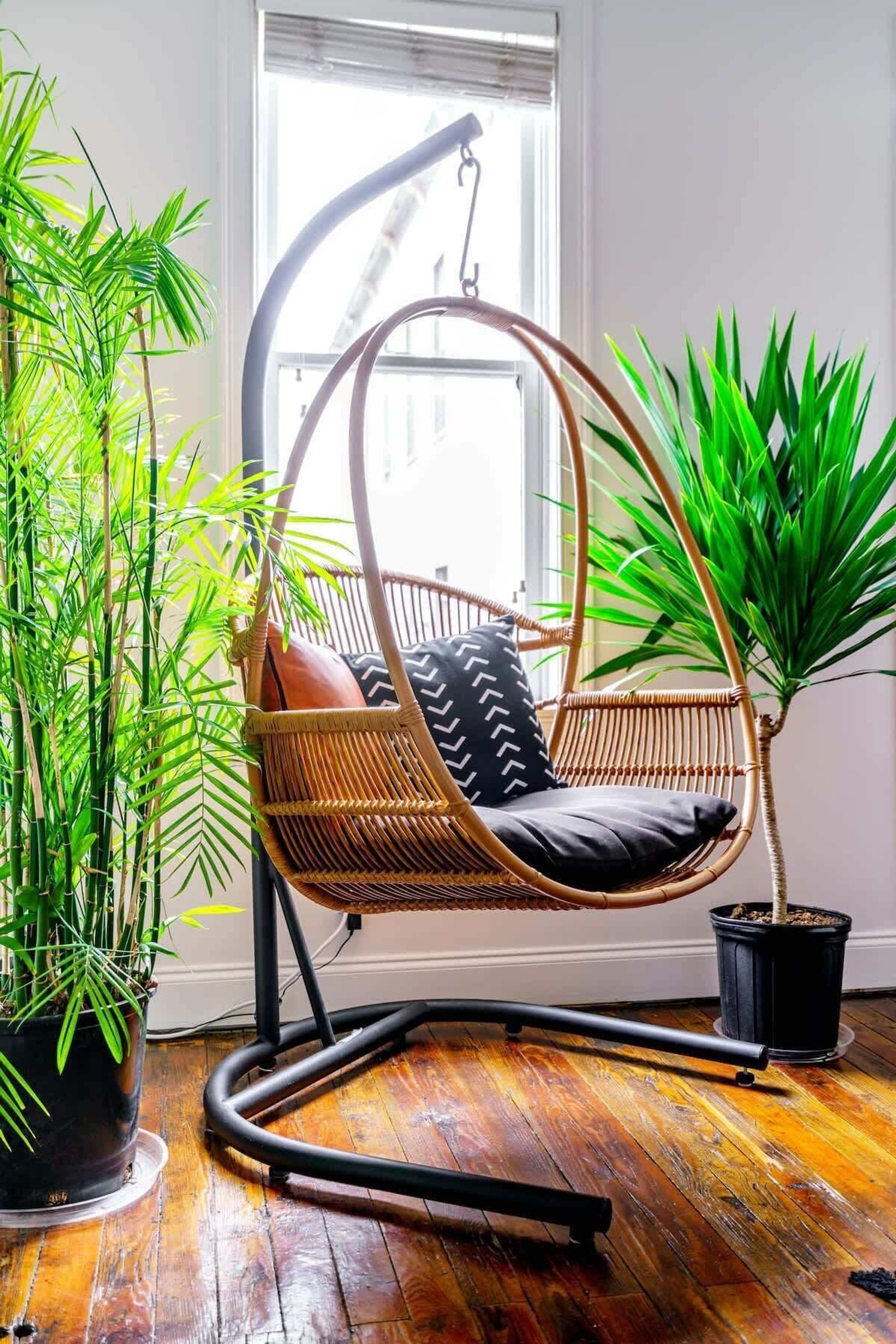 Urban Jungle: Rare Plant-Filled Designer Retreat in Columbus image 2