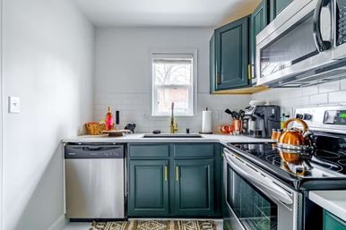 Urban Jungle: Rare Plant-Filled Designer Retreat in Columbus image 40