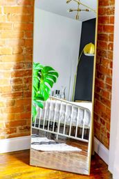 Urban Jungle: Rare Plant-Filled Designer Retreat in Columbus image 22