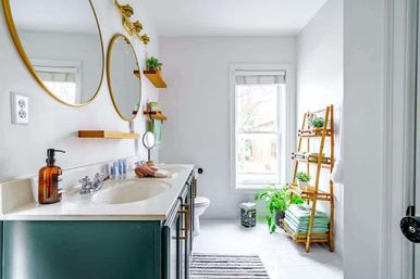 Urban Jungle: Rare Plant-Filled Designer Retreat in Columbus image 29