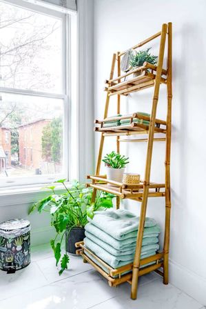 Urban Jungle: Rare Plant-Filled Designer Retreat in Columbus image 26